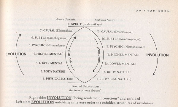 Involution and Evolution