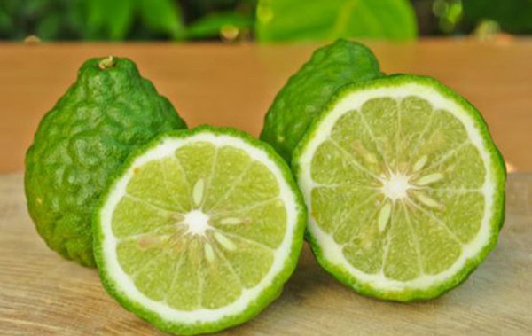 Bergamota Bergamota