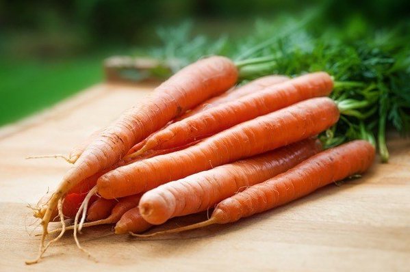 cenouras orgânicas para desintoxicar o fígado cenouras orgânicas para desintoxicar o fígado