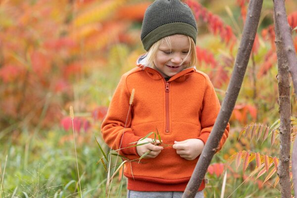 disana Wollwalk-Troyer/Pullover für Kinder