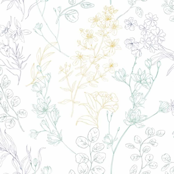 Plantas silvestres 4