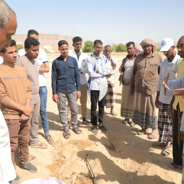 wp image2693501905915808669.jpg