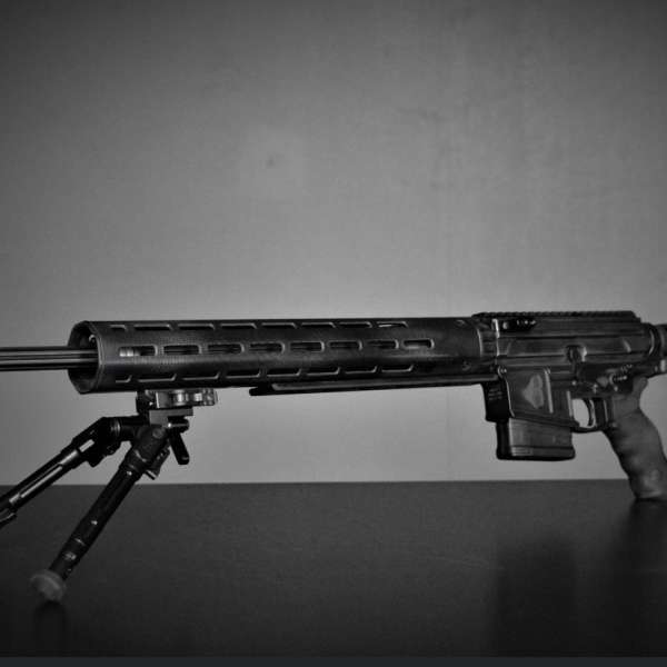 Alpha Adjustable Stainless AR-10 Rifle