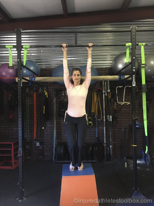 scapular pull-up