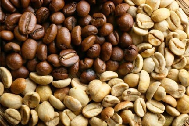 white coffee beans laid out next to medium roast beans