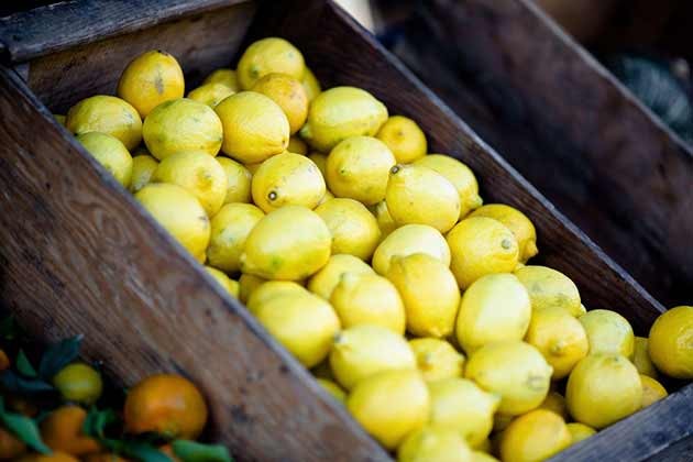 limao causa refluxo gastroesofagico limao causa refluxo gastroesofagico