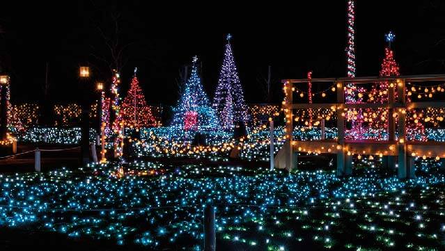 Lights on the Island at Lake Wister State Park.