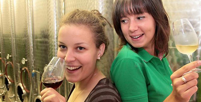 Vignoble des 2 Lunes Vignoble des 2 Lunes