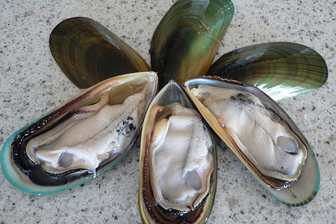 mariscos causam intoxicação alimentar mariscos causam intoxicação alimentar