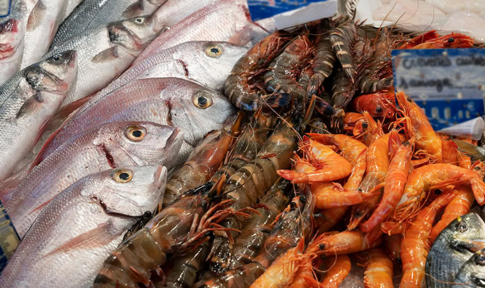 After a turbulent 2023, signs of optimism ahead for global seafood production - Feed & Additive Magazine