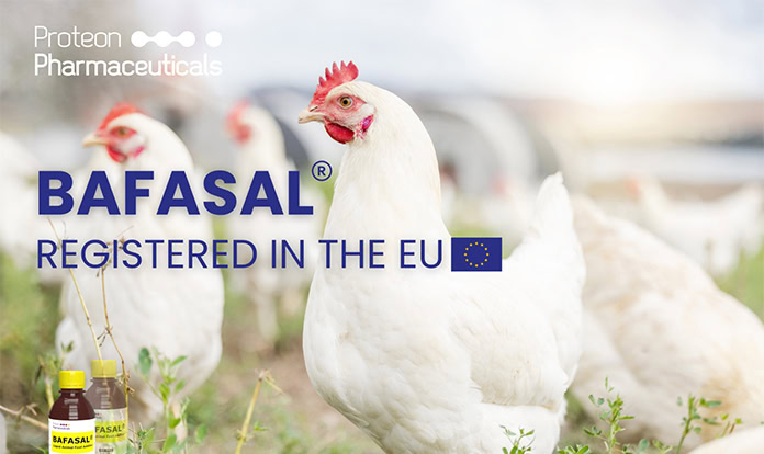 EU greenlights Proteon’s bacteriophage-based additive for poultry