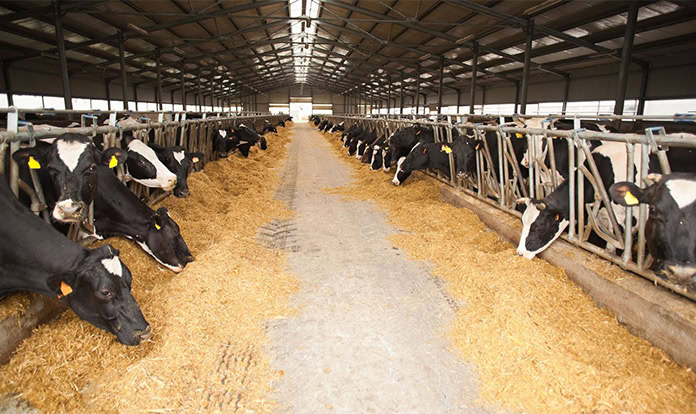 European Parliament establishes intergroup on sustainable livestock