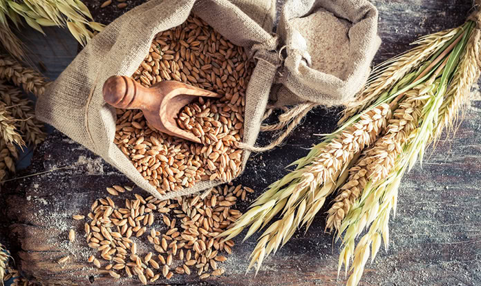FEFAC urges EU to finalise NGTs regulation for resilient agri-food sector