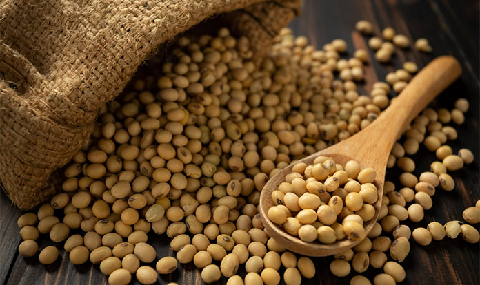 Innovative soy supply expected to cut broiler feed emissions