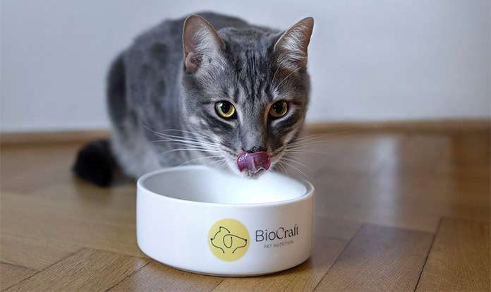 New Analysis: BioCraft ingredient emits 12x less CO₂ than beef byproducts