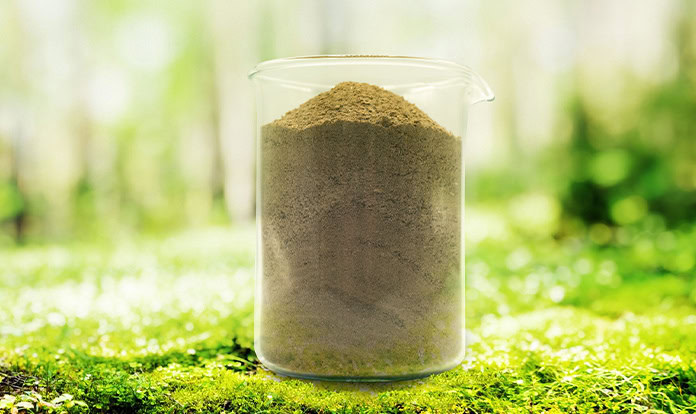 New study: Diet based on BSF improves oral health and reduces bad breath in dogs