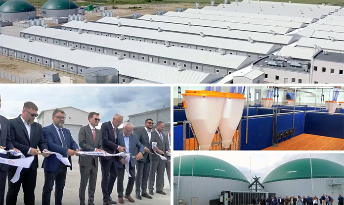 New turn-key sow management facility launched in Poland