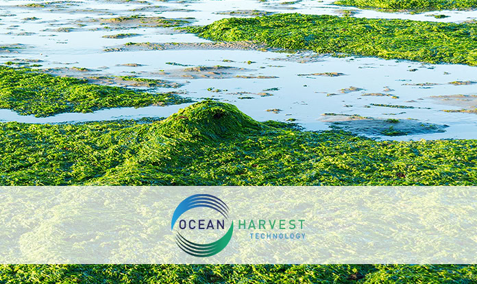 Ocean Harvest Technology appoints Christopher Scott as CFA