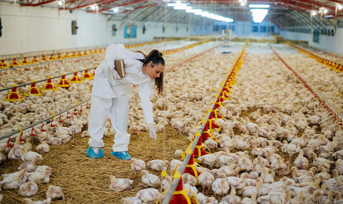 Orffa and Florates unveil new gut health technology