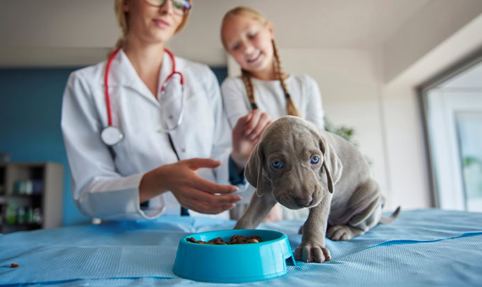 Purina supports veterinary schools to advance pet health