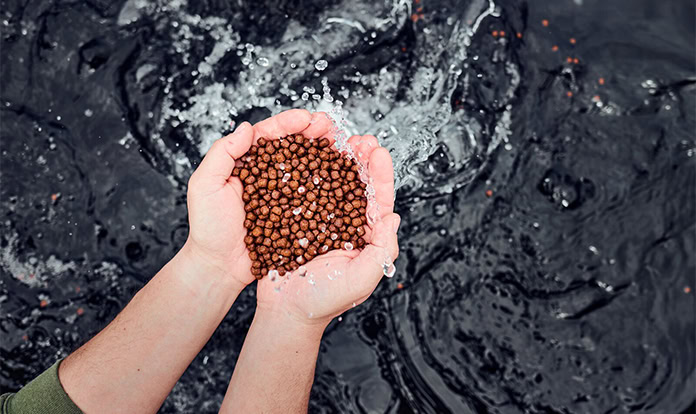 Rangen secures first ASC Feed Certification for US