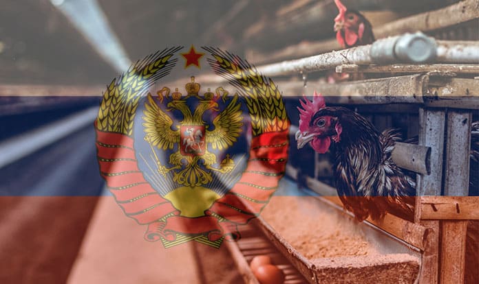 Russia Animal Feed Market Report 2020-2025