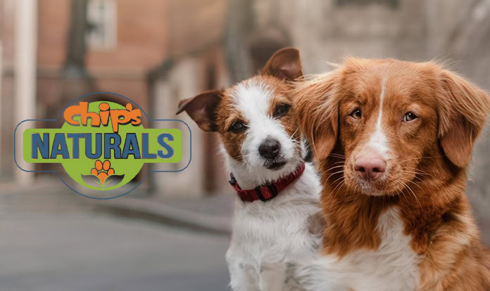 Three Dog Brands expands portfolio into dehydrated pet treats industry