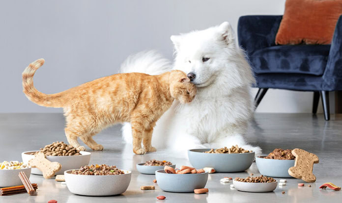 United Petfood acquires Dutch company De Haan Petfood