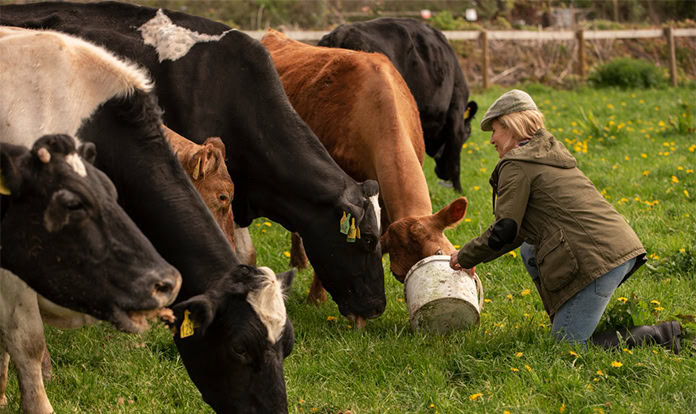 Weight loss drugs prompt changes in animal feed strategies