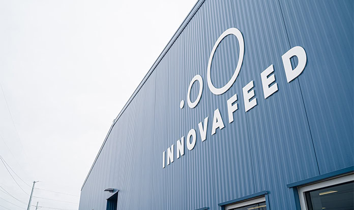 Why is Innovafeed halting US insect protein operations?