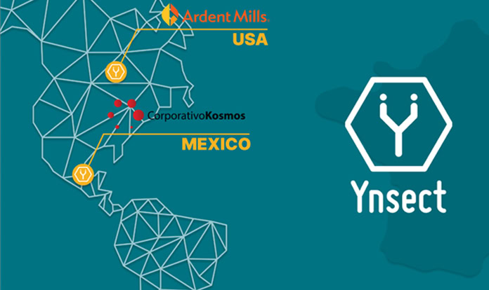 Ÿnsect establishes insect farms in Mexico and US