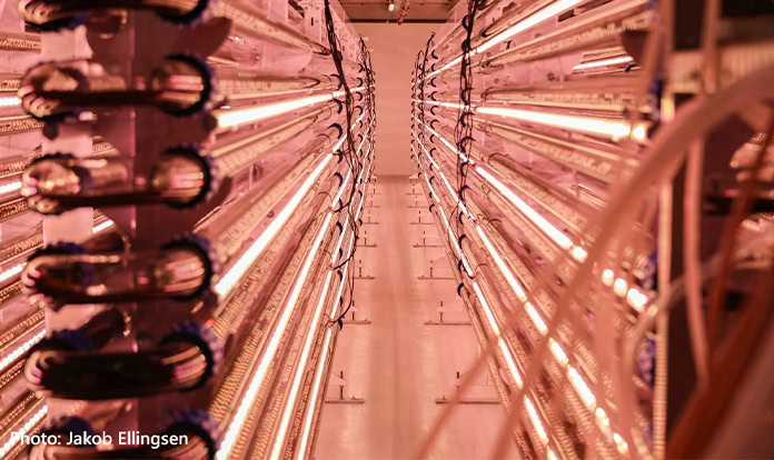 Norveçli kopepod üreticisi, kapasitesini üçe katladı