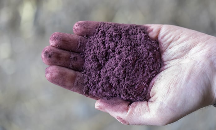 Seaweed cuts methane emissions by over 80%