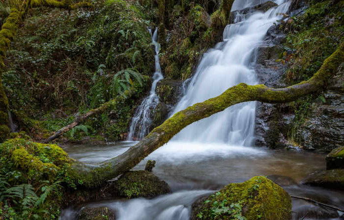 Excursi&oacute;n a San Tirso de Abres