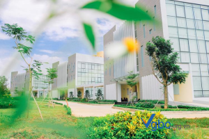 Khoa Du Lịch Trường Cao đẳng Quốc Tế Sài Gòn
