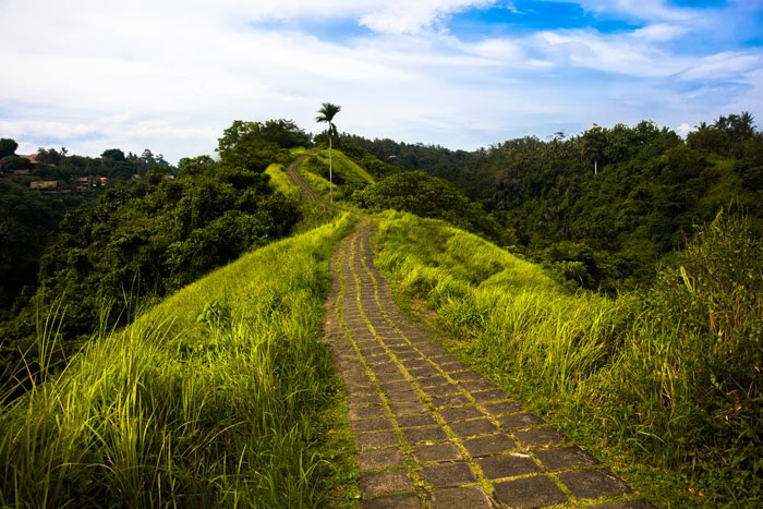 Campuhan Ridge Ubud Bali