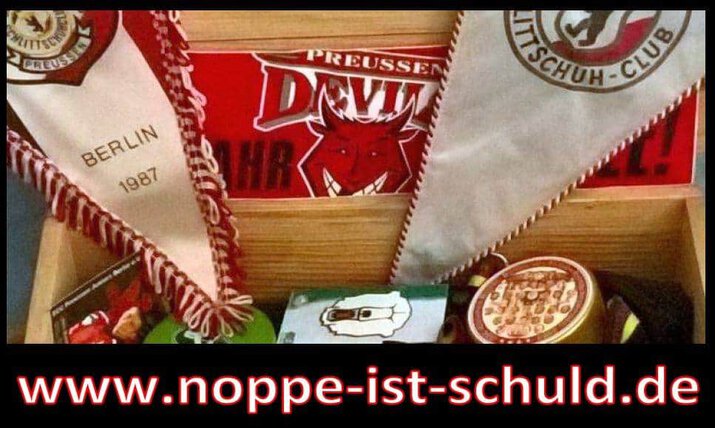 Noppe ist Schuld Logo