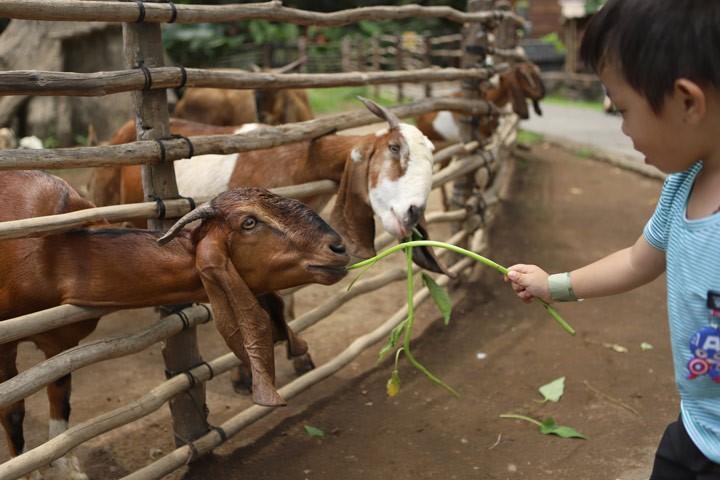 Behind the Scene Junior Keeper
