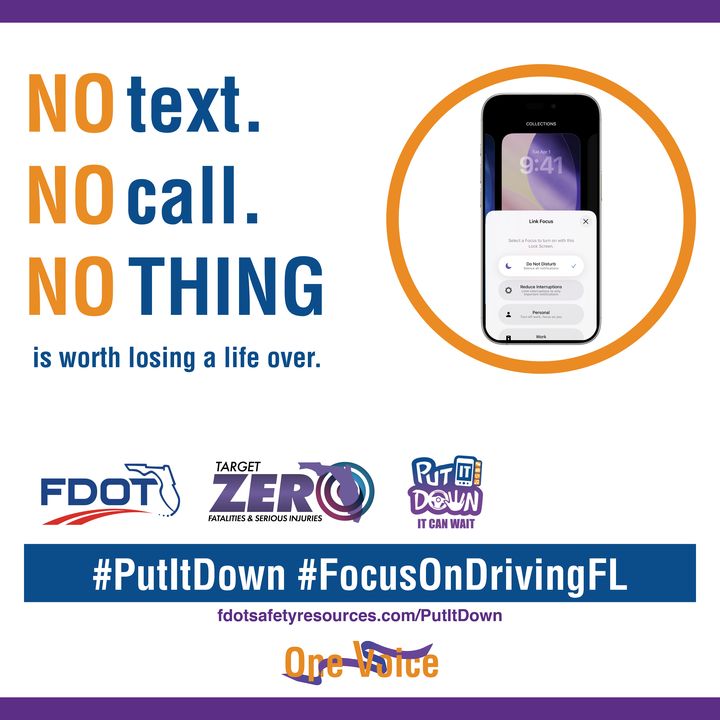 Put It Down social post with a smartphone in an orange circle and the message No text. No call. Nothing is worth losing a life over.