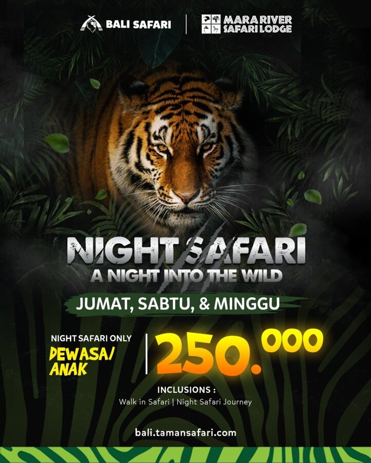 Night Safari 