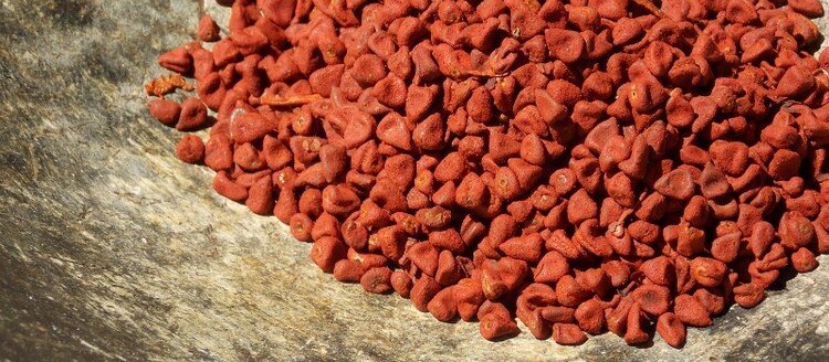 óleo de urucum em capsulas óleo de urucum em capsulas