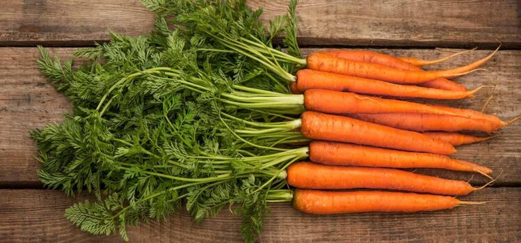Cenoura Cenoura é boa para diarreia, anemia e pele: veja os 30 benefícios do vegetal