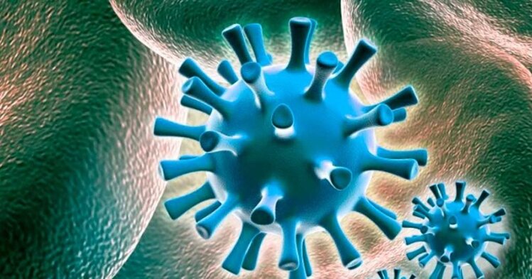 sintomas e prevencao da gripe h3n2 sintomas e prevencao da gripe h3n2