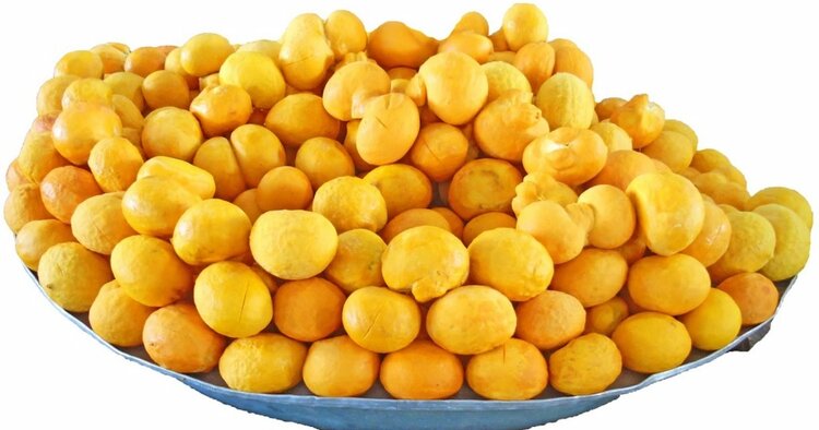 Pequi fruta Pequi fruta
