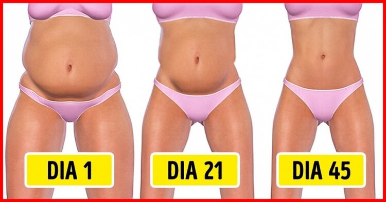 dicas para fazer uma dieta saudavel dicas para fazer uma dieta saudavel