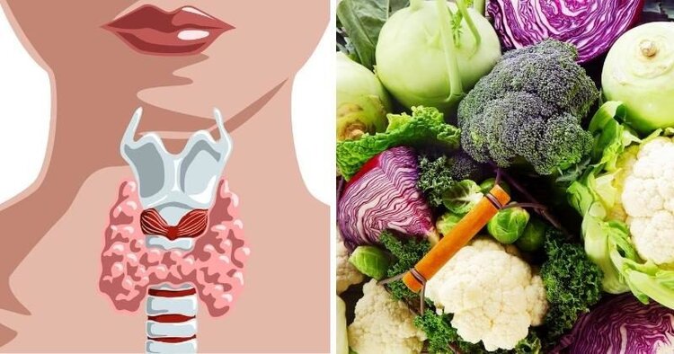Dieta para tratar a tireoide: funciona? benefícios e cardápio Dieta para tratar a tireoide: funciona? benefícios e cardápio