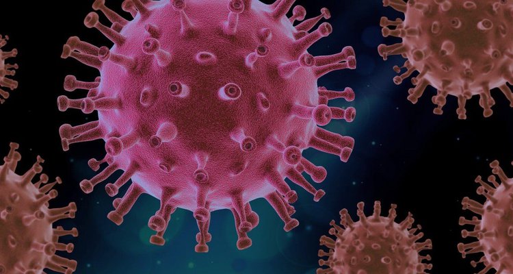 prevencao da influenza h5n1 prevencao da influenza h5n1