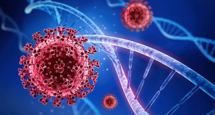 sintomas da influenza h5n1 sintomas da influenza h5n1