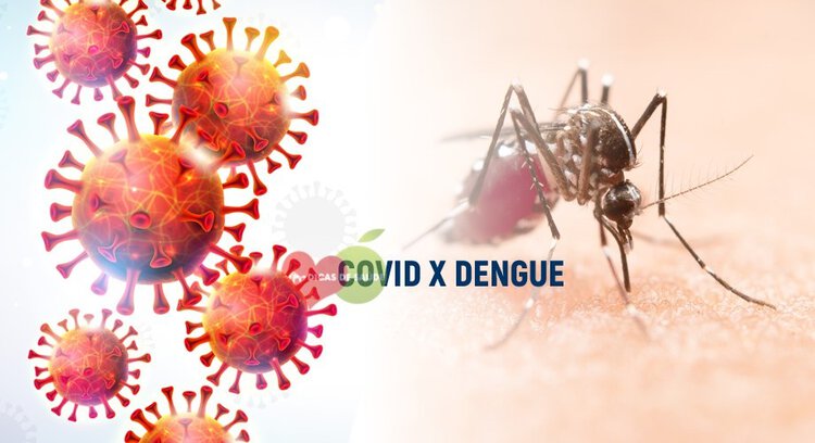 como ocorre a transmissao da dengue e covid-19 como ocorre a transmissao da dengue e covid-19