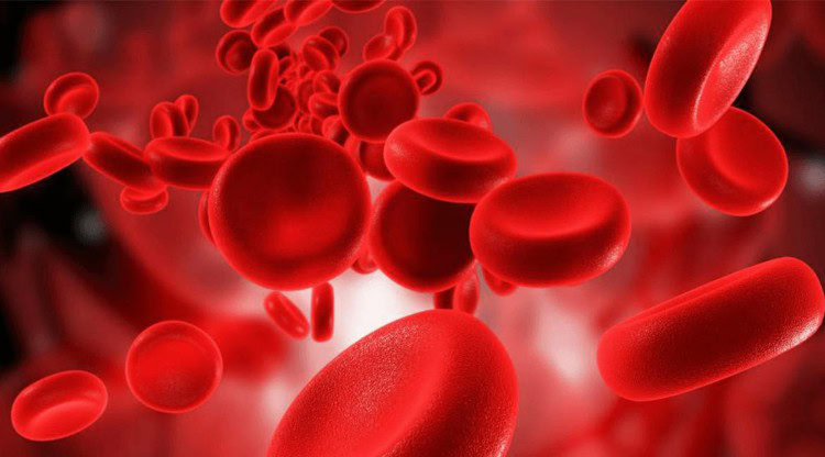 remédios caseiros para tratar a anemia remédios caseiros para tratar a anemia